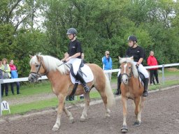 img_9377_web